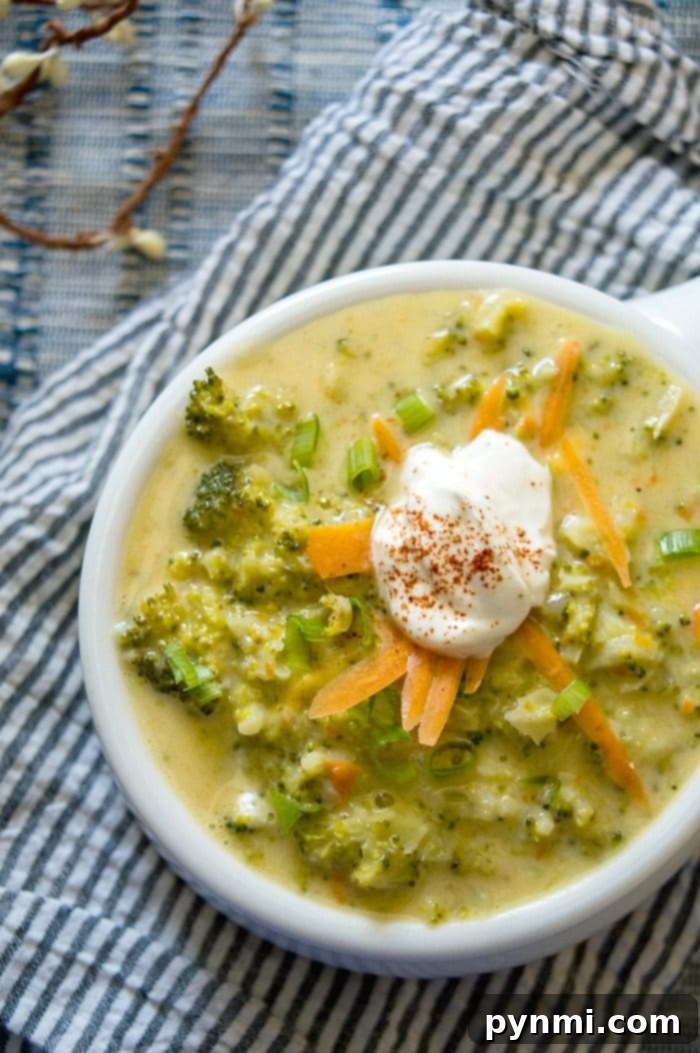 quick broccoli cheese soup 2