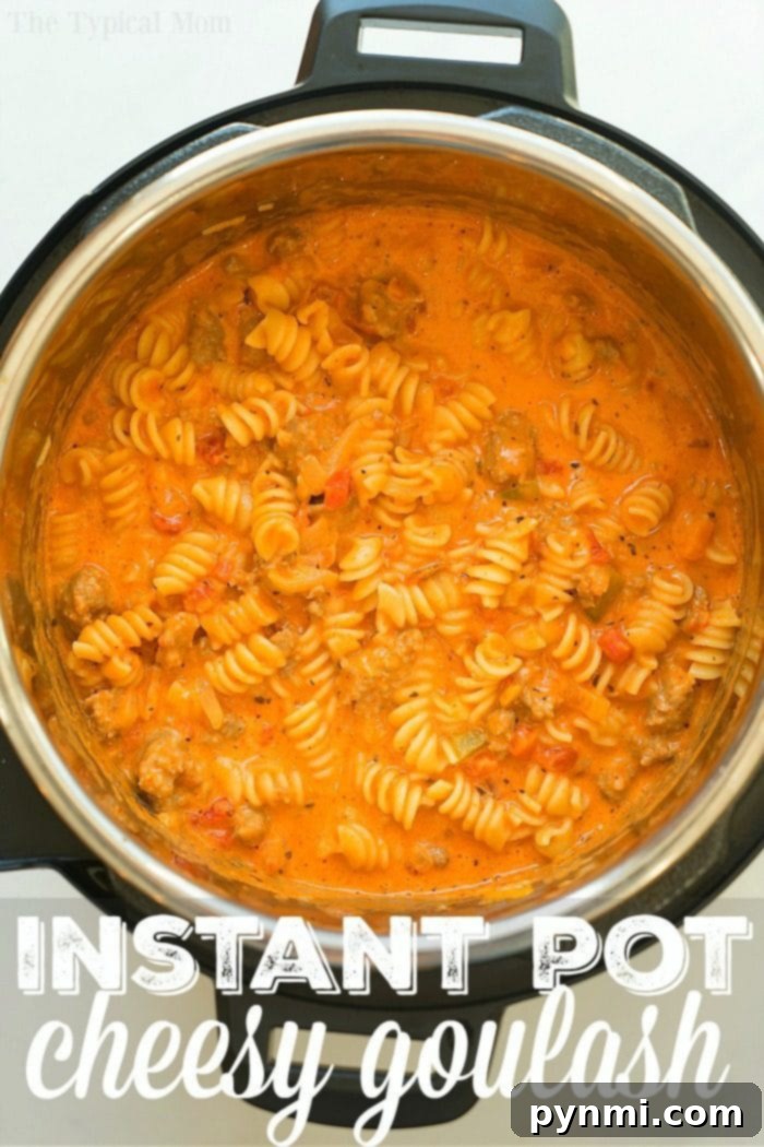 Cheesy Instant Pot goulash turned out amazing in my pressure cooker! Creamy goulash with the same flavors you love with two different cheeses within it too. Total comfort food in your pressure cooker that will be your kid's new favorite dinner for sure. #instantpot #pressurecooker #goulash #cheese #cheesy #pasta #casserole #instantpotrecipes #thetypicalmom A vibrant bowl of cheesy Instant Pot goulash garnished with fresh herbs, showcasing the rich texture of the sauce and rotini pasta, next to the Instant Pot.
