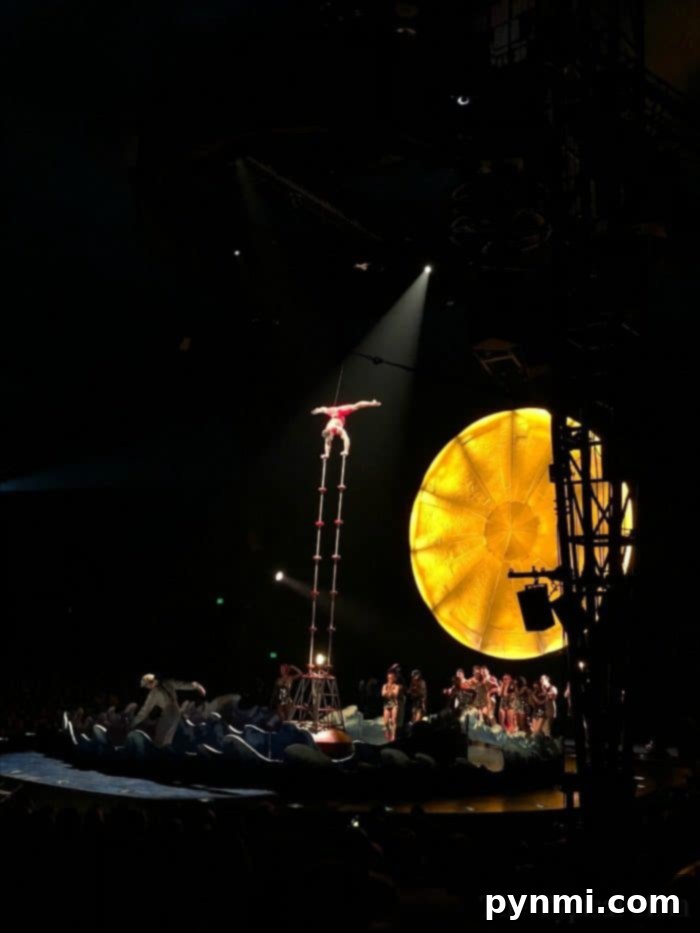Cirque du Soleil Luzia Review 5