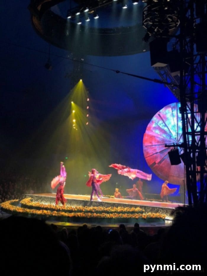 Cirque du Soleil Luzia Review 3