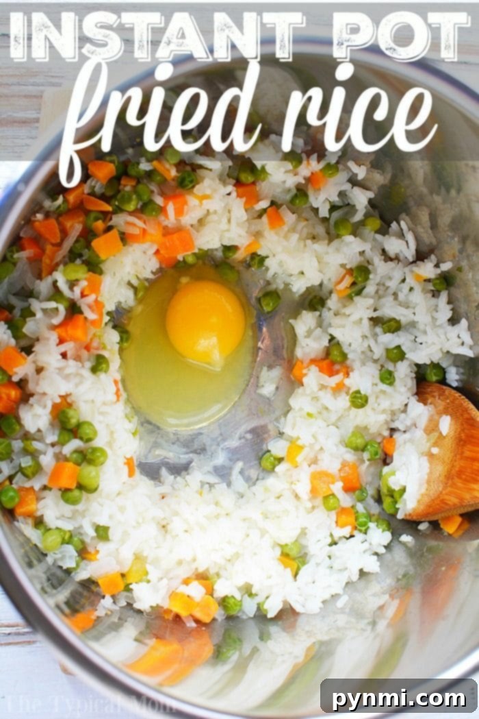 Quick and delicious Instant Pot fried rice, an easy one-pot meal for any night. A bowl of fresh Pressure Cooker Fried Rice with green onions and egg.