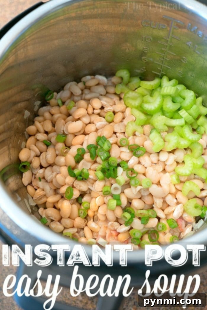 A vibrant bowl of pressure cooker bean soup, featuring tender beans, crisp celery, and fresh green onions, offers a delicious and hearty meal.