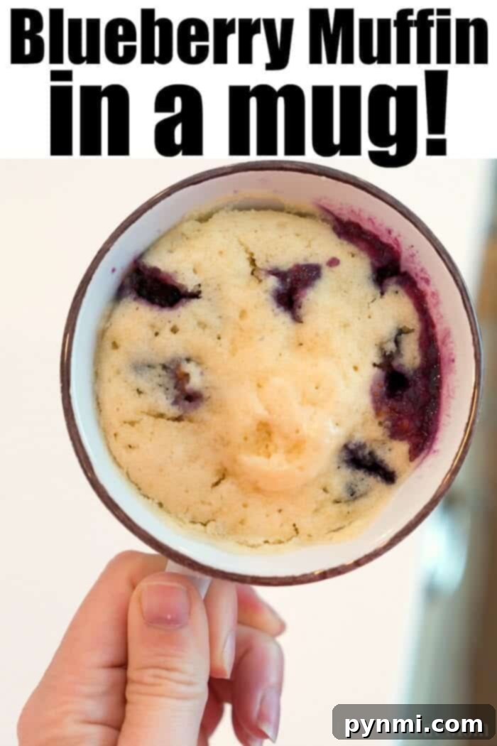 A delicious Blueberry Muffin in a Mug, garnished with fresh blueberries, ready for a quick breakfast or snack.
