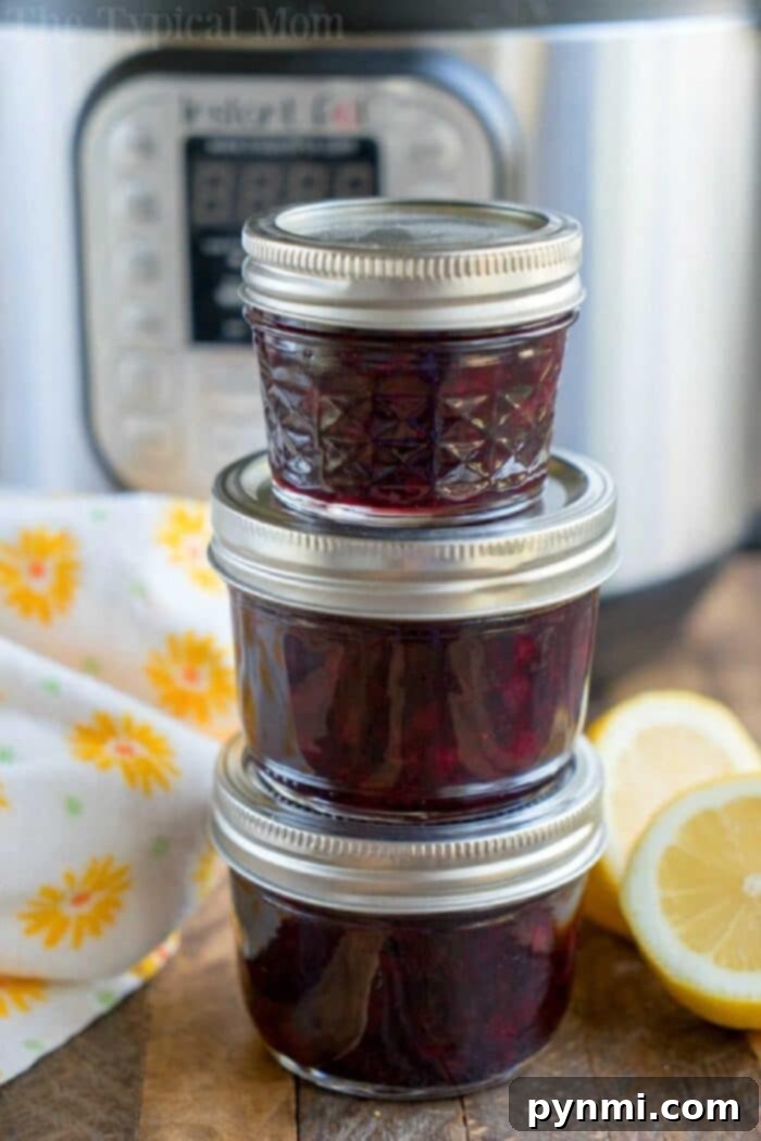 A rustic wooden spoon scoops up a medley of easy blueberry recipes, showcasing the vibrant berries in various forms, from sweet muffins to tangy sauces.