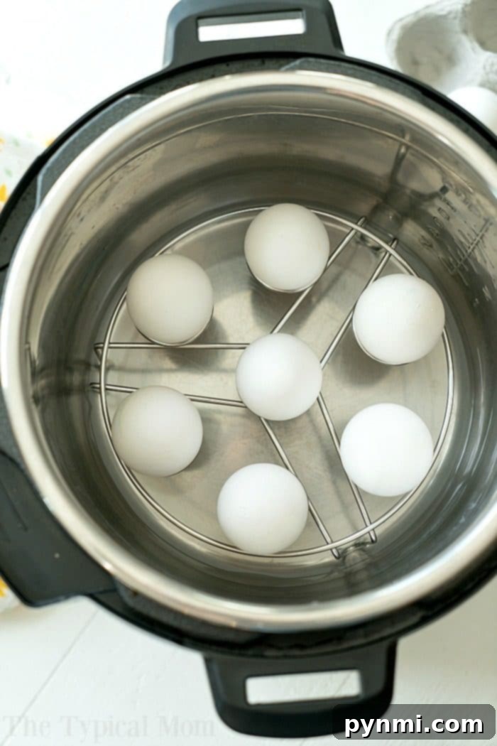 Pressure Cooker Hard Boiled Eggs on a Rack
