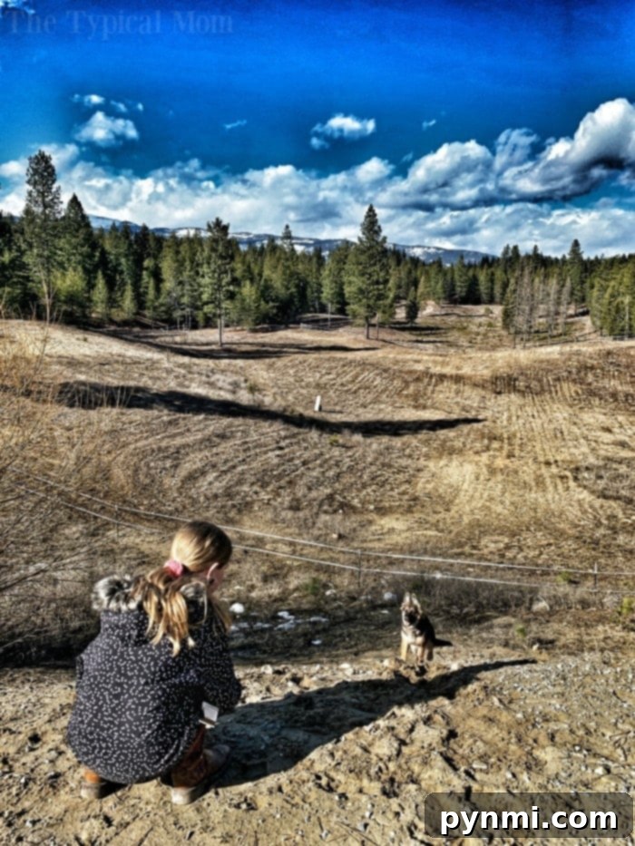 Move Across the Country Without Breaking the Bank 2 idaho blogger