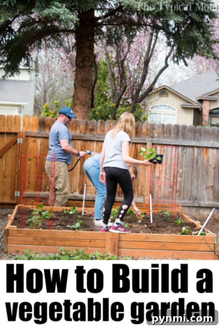Elevated Edible Gardens 4 An expansive raised garden bed filled with a variety of healthy, growing plants, showcasing diverse planting and effective space utilization.