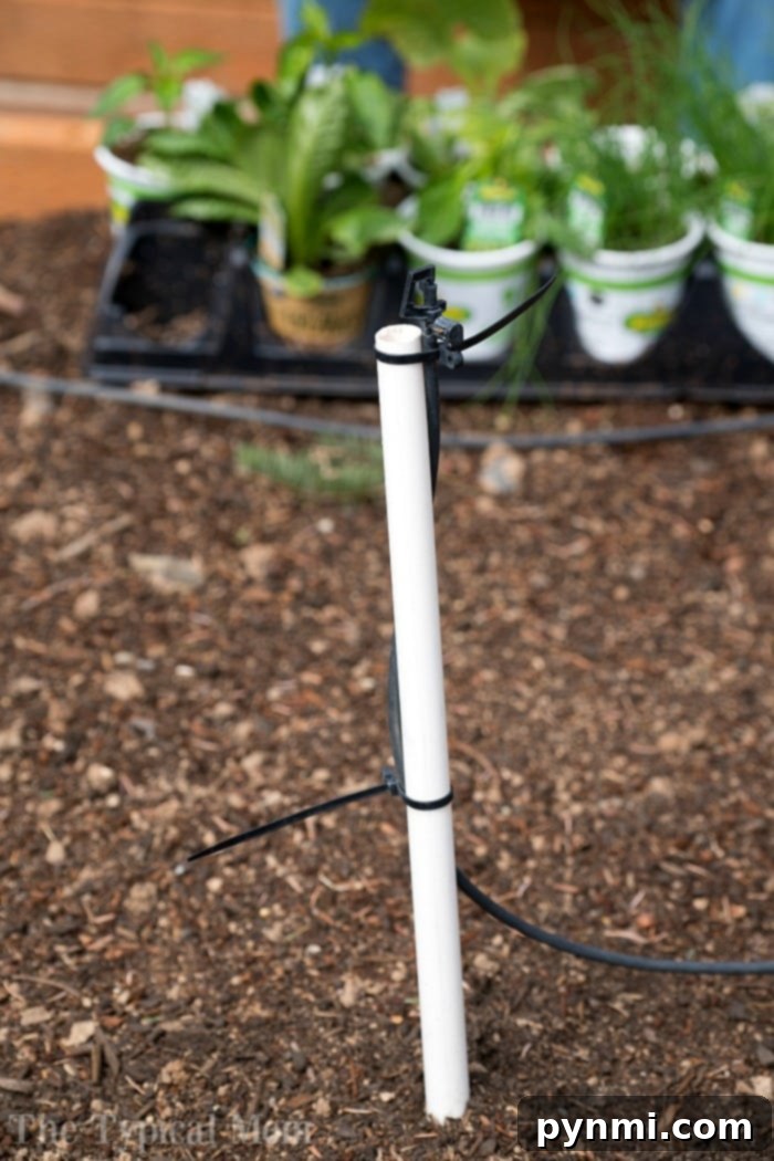 Elevated Edible Gardens 6 A close-up view of a garden drip irrigation system in action, showing water lines and emitters gently watering the plants in a raised bed.