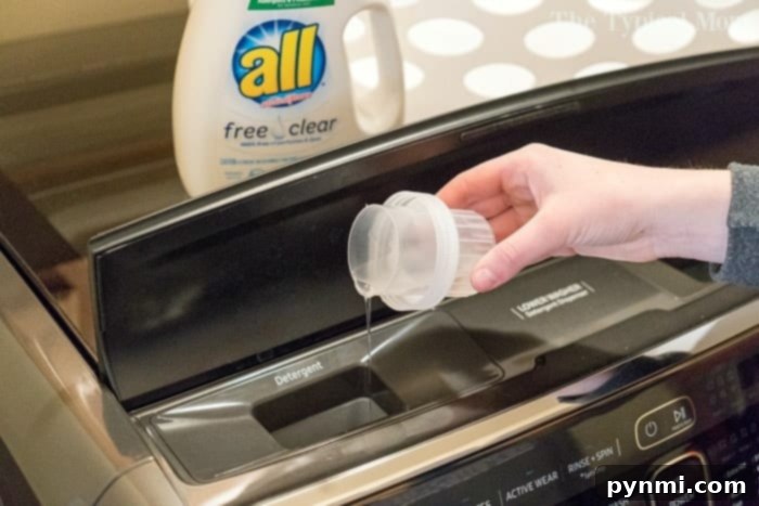 Laundry Day Planner 3 Life Skills for Children - Loading Washer