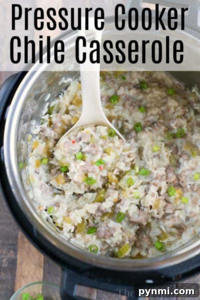 A hearty Instant Pot Rice Casserole, featuring savory sausage and perfectly cooked rice, garnished with fresh herbs, ready to be served