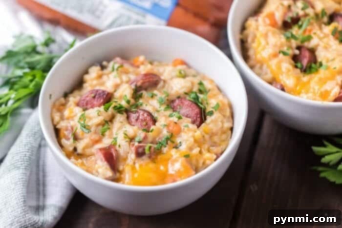 A savory Instant Pot sausage and rice casserole, topped with fresh green onions and ready for serving