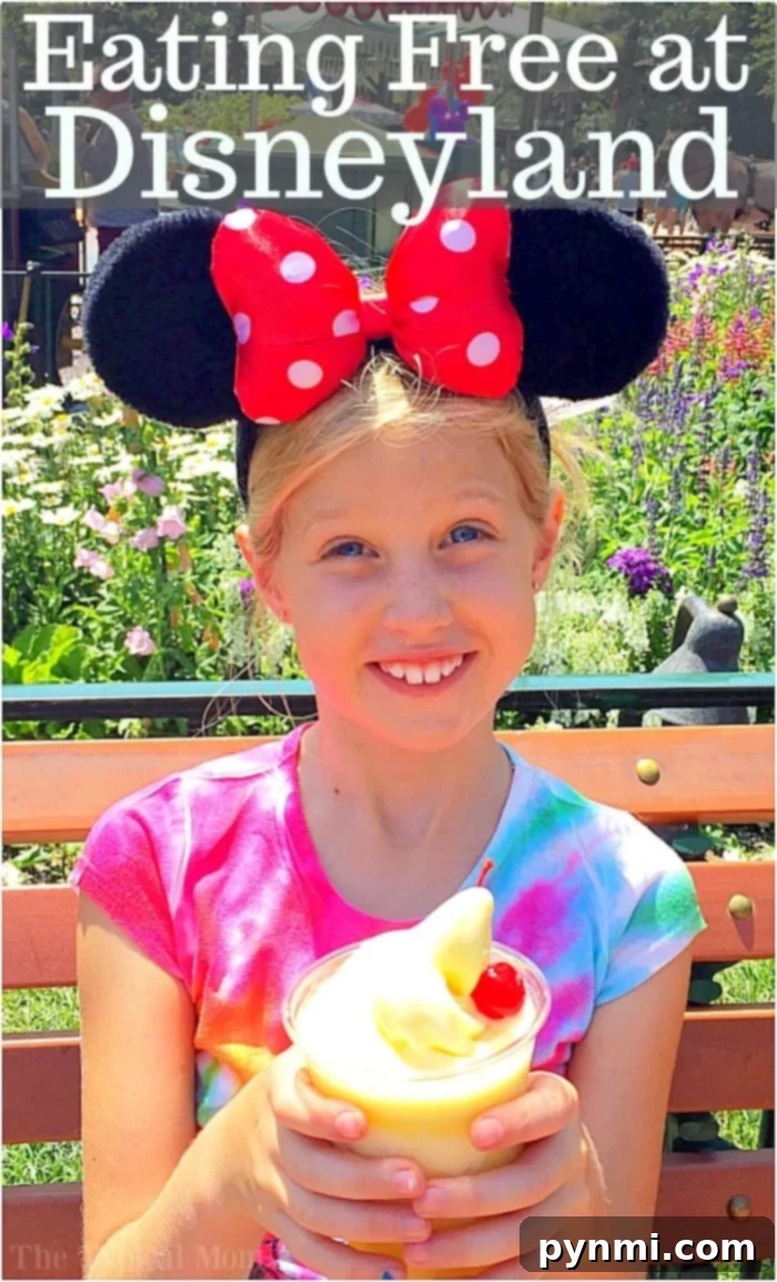 How to Eat for Free at Disneyland - Family enjoying park with budget tips