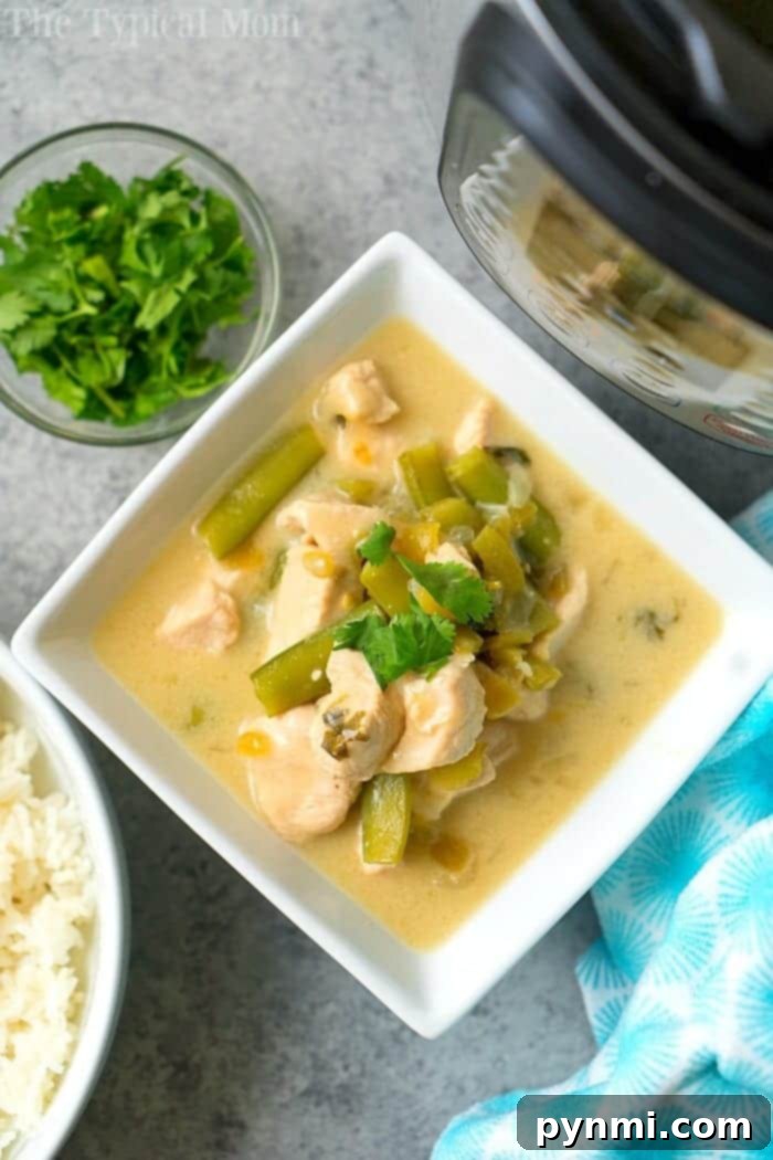 Pressure cooker coconut chicken with curry turned out amazing! A creamy Instant Pot chicken with vegetable dish served as a soup or on top of rice. Try our Thai style coconut chicken yourself and let us know what you think! #instantpot #pressurecooker #thai #indian #coconutchicken #instantpotrecipes #thetypicalmom #chicken #dairyfree #soup #curry Creamy Instant Pot coconut chicken with tender chicken, vibrant vegetables, and rich curry sauce, served with a side of rice and fresh herbs, showcasing a delicious and effortless pressure cooker meal.