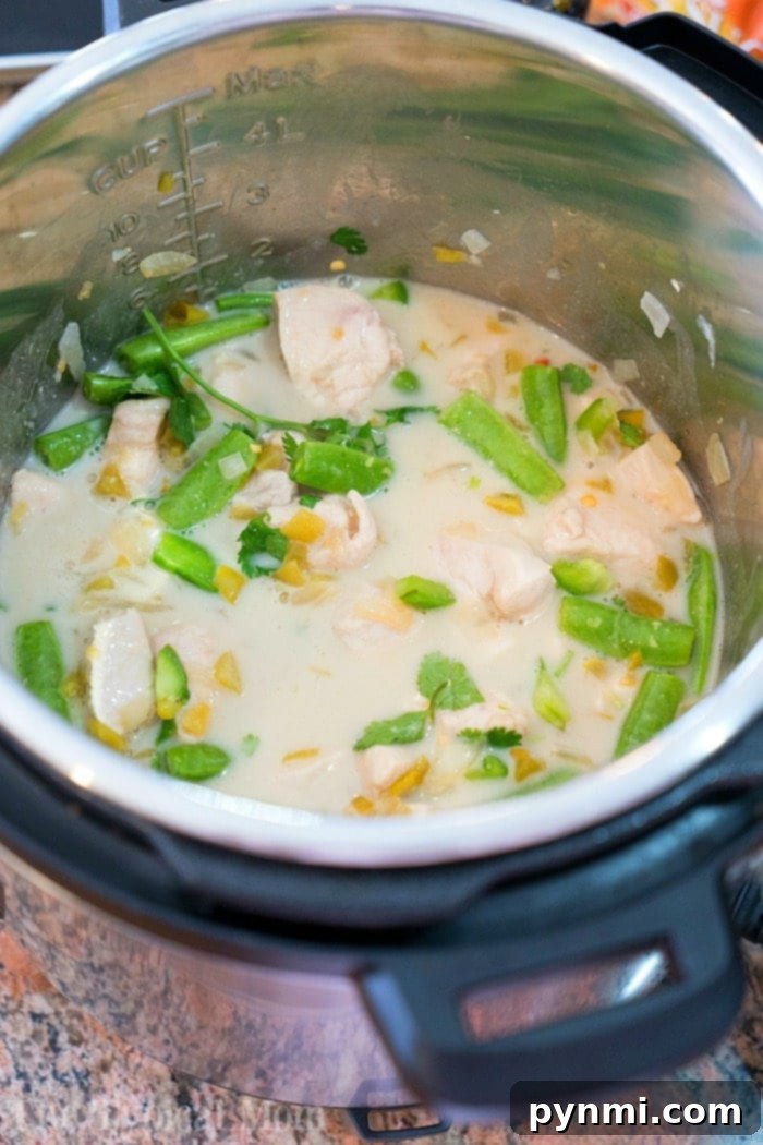 Pressure cooker coconut chicken with curry turned out amazing! A creamy Instant Pot chicken with vegetable dish served as a soup or on top of rice. Try our Thai style coconut chicken yourself and let us know what you think! #instantpot #pressurecooker #thai #indian #coconutchicken #instantpotrecipes #thetypicalmom #chicken #dairyfree #soup #curry A vibrant bowl of Pressure Cooker Coconut Chicken, rich with creamy curry sauce, tender chicken, and crisp vegetables, perfectly ready to be served over rice or as a hearty stew.