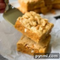 A hand holds a metal spatula, expertly lifting two stacked decadent peanut butter cookie brownies, showcasing their rich texture and delicious appeal.