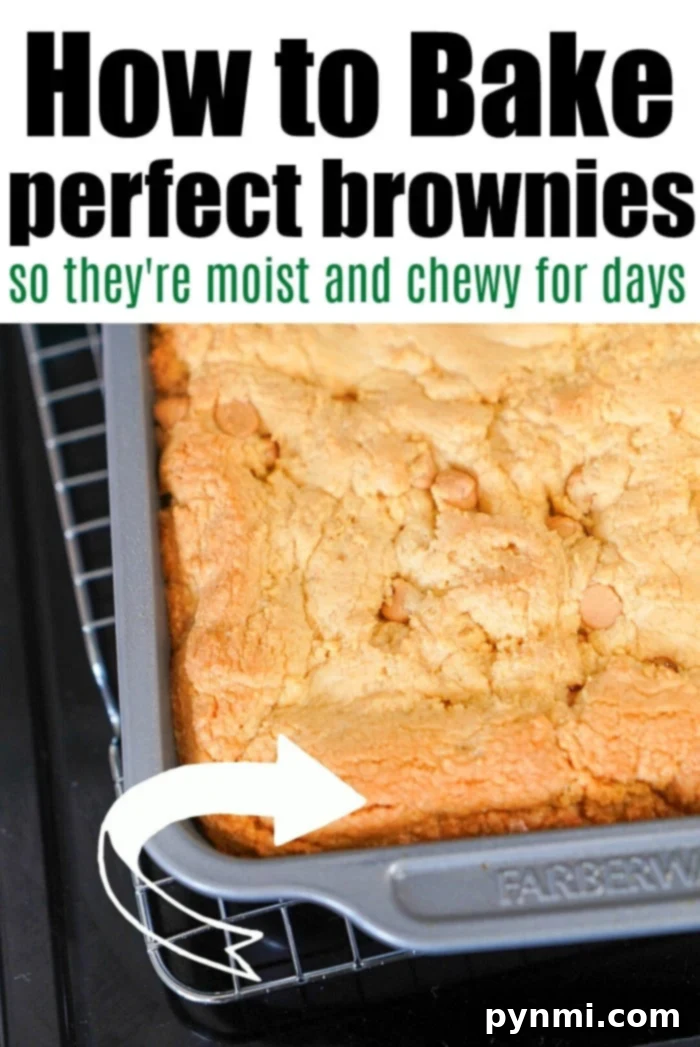 Ultimate Cake Mix Peanut Butter Brownies 6 Perfectly baked, fudgy brownies displaying their moist interior and slightly crispy edges, a testament to the trick for keeping them incredibly moist and delicious.