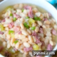 A bowl of pressure cooker ham and beans soup with chunks of ham, celery, and green onion on top.