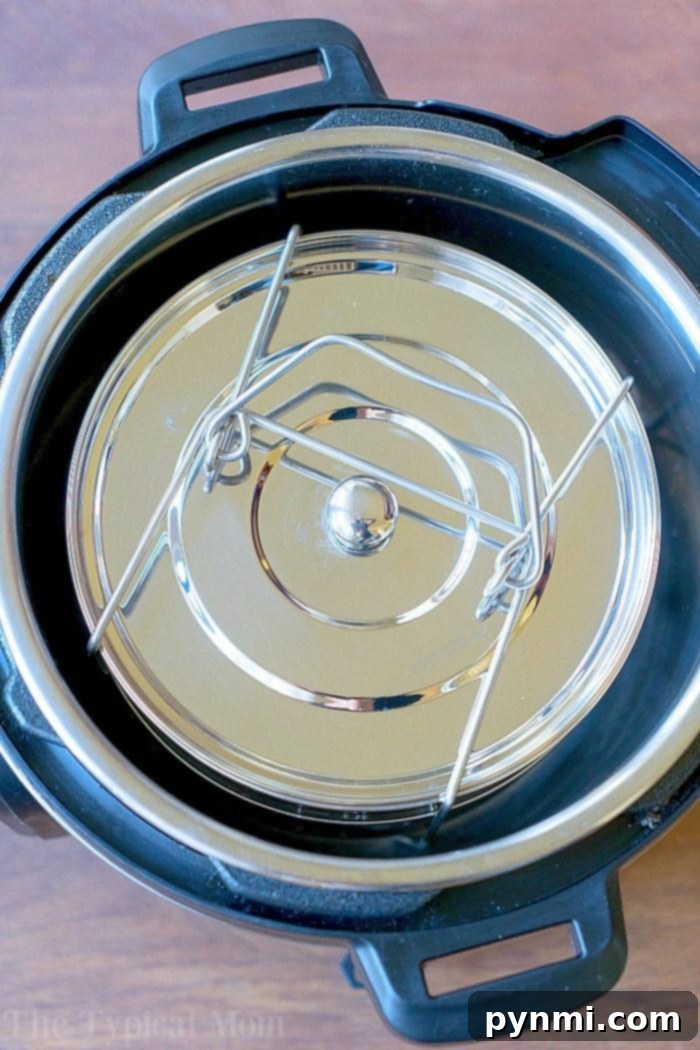 instant pot fish