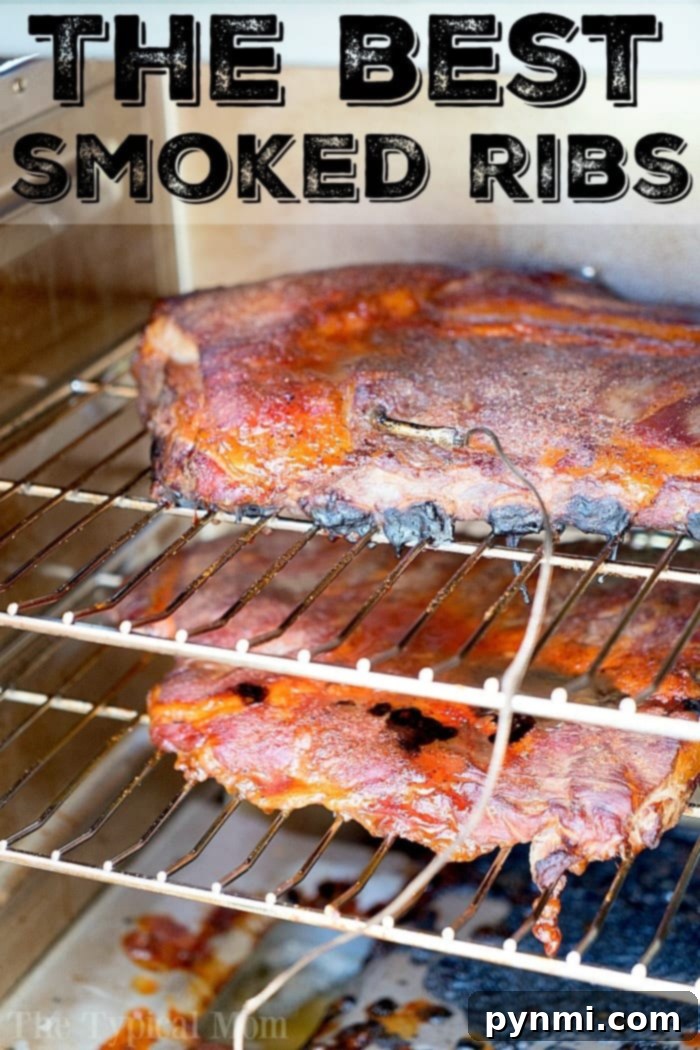 Smoked ribs cooking in an electric smoker, topped with a generous layer of dry rub and a meat thermometer inserted for precision.