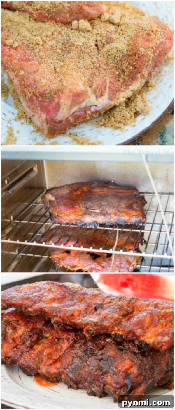 Close-up of perfectly smoked ribs, showcasing the tender meat pulling away from the bone and the rich, caramelized dry rub.