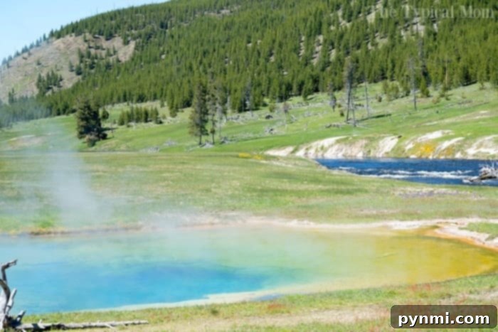 Things to do in Yellowstone: A list of must-see sights and attractions #yellowstone #familytravel #travel #roadtrips #thetypicalmom #southdakota Scenic view of Yellowstone's geysers and colorful hot springs