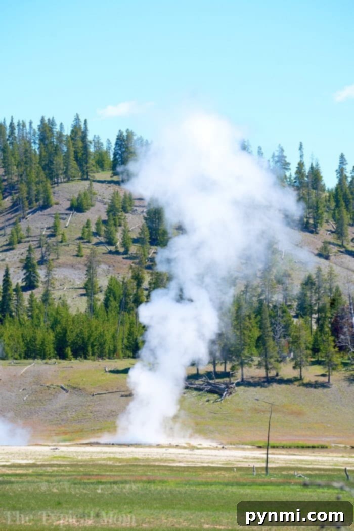 Yellowstone geysers and colorful thermal features: a must-see for family trips #yellowstone #familytravel #travel #roadtrips #thetypicalmom #southdakota Steaming geysers and colorful pools in Yellowstone National Park, capturing the park's vibrant geothermal activity