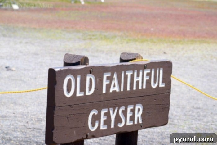What to see in Yellowstone: Old Faithful Geyser and other geothermal wonders #yellowstone #familytravel #travel #roadtrips #thetypicalmom #southdakota Crowd gathered around Old Faithful Geyser during an eruption in Yellowstone