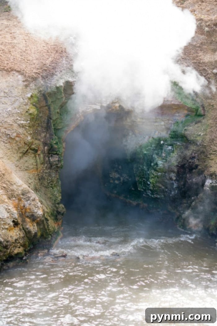 What to see in Yellowstone: The impressive scale of Dragon's Mouth Spring #yellowstone #familytravel #travel #roadtrips #thetypicalmom #southdakota The impressive scale of Dragon's Mouth Spring with steam rising