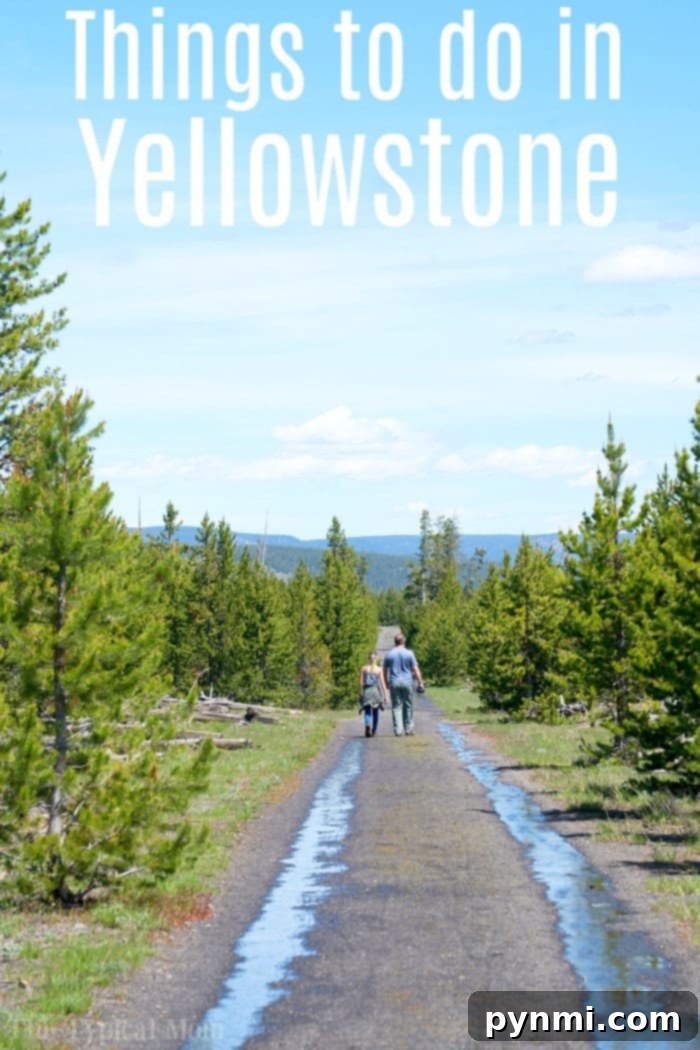What to see in Yellowstone: Family hiking and making memories #yellowstone #familytravel #travel #roadtrips #thetypicalmom #southdakota Family enjoying a scenic hike in Yellowstone National Park