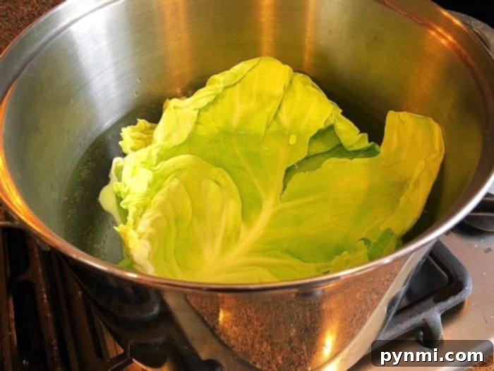 Speedy Instant Pot Cabbage Rolls 5 A blanched cabbage leaf simmering gently in a stainless steel pot on the stove