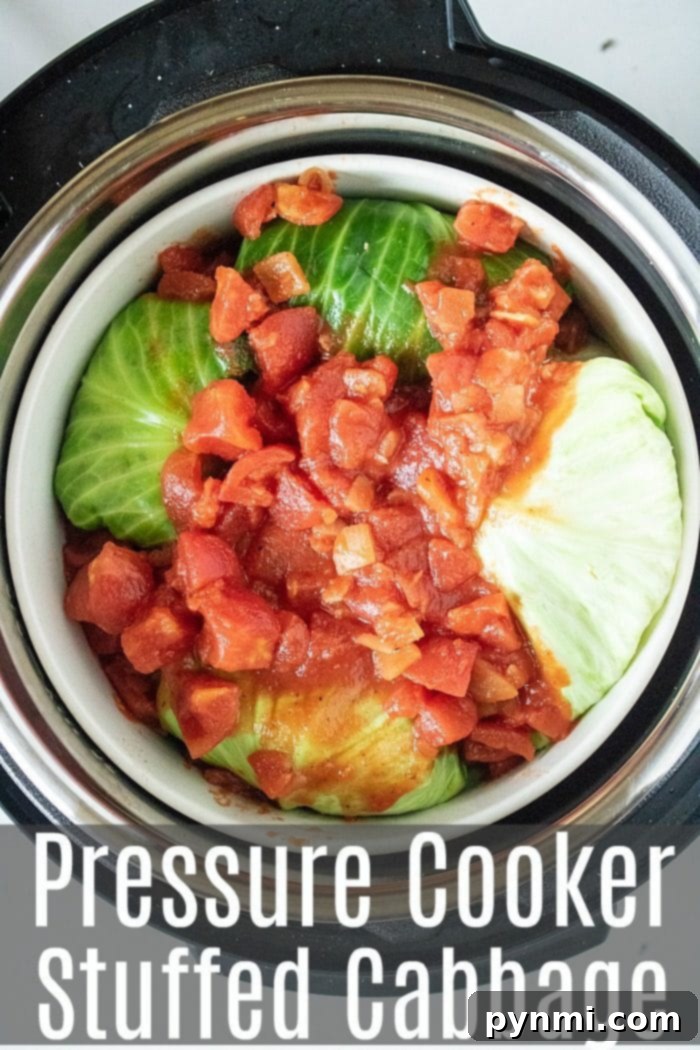 Delicious Instant Pot stuffed cabbage rolls filled with ground beef, rice, and cheese, cooked quickly in a pressure cooker. A perfect family dinner! #instantpot #instantpotrecipes #stuffedcabbage #cabbage Cooked pressure cooker stuffed cabbage rolls served on a plate