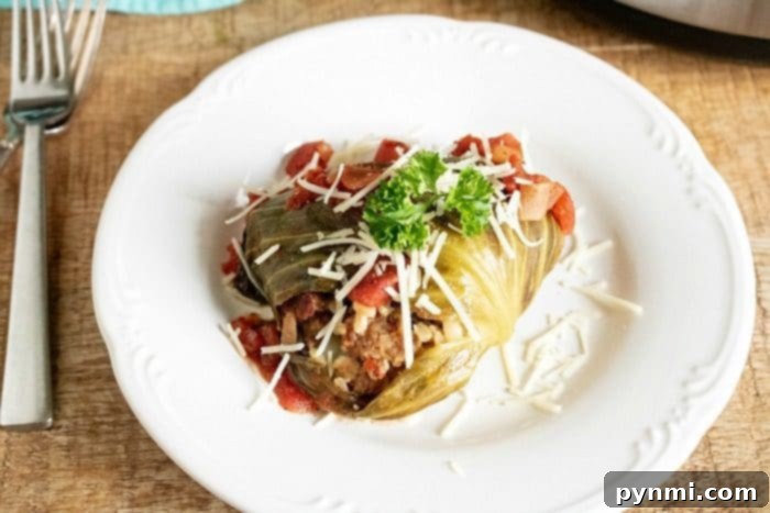 Delicious Instant Pot stuffed cabbage rolls filled with ground beef, rice, and cheese, cooked quickly in a pressure cooker. A perfect family dinner! #instantpot #instantpotrecipes #stuffedcabbage #cabbage Close-up of a pressure cooker stuffed cabbage roll, garnished