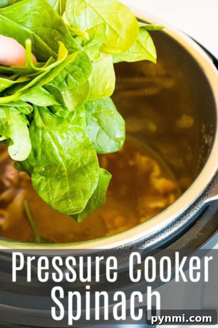 Instant Pot spinach is a great side dish recipe to make for your family. Add bacon and it's great. #instantpot #instantpotrecipes #spinach #vegetable #sidedish #healthy #thetypicalmom Steaming pressure cooker spinach in a serving bowl, garnished with a sprinkle of pepper.