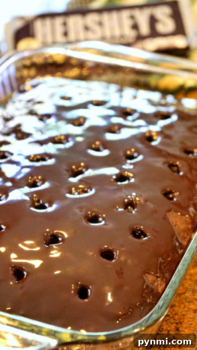 how to make a poke cake - A close-up of a beautifully decorated chocolate poke cake with ganache filling and whipped topping, inviting bakers to learn more about this easy dessert.