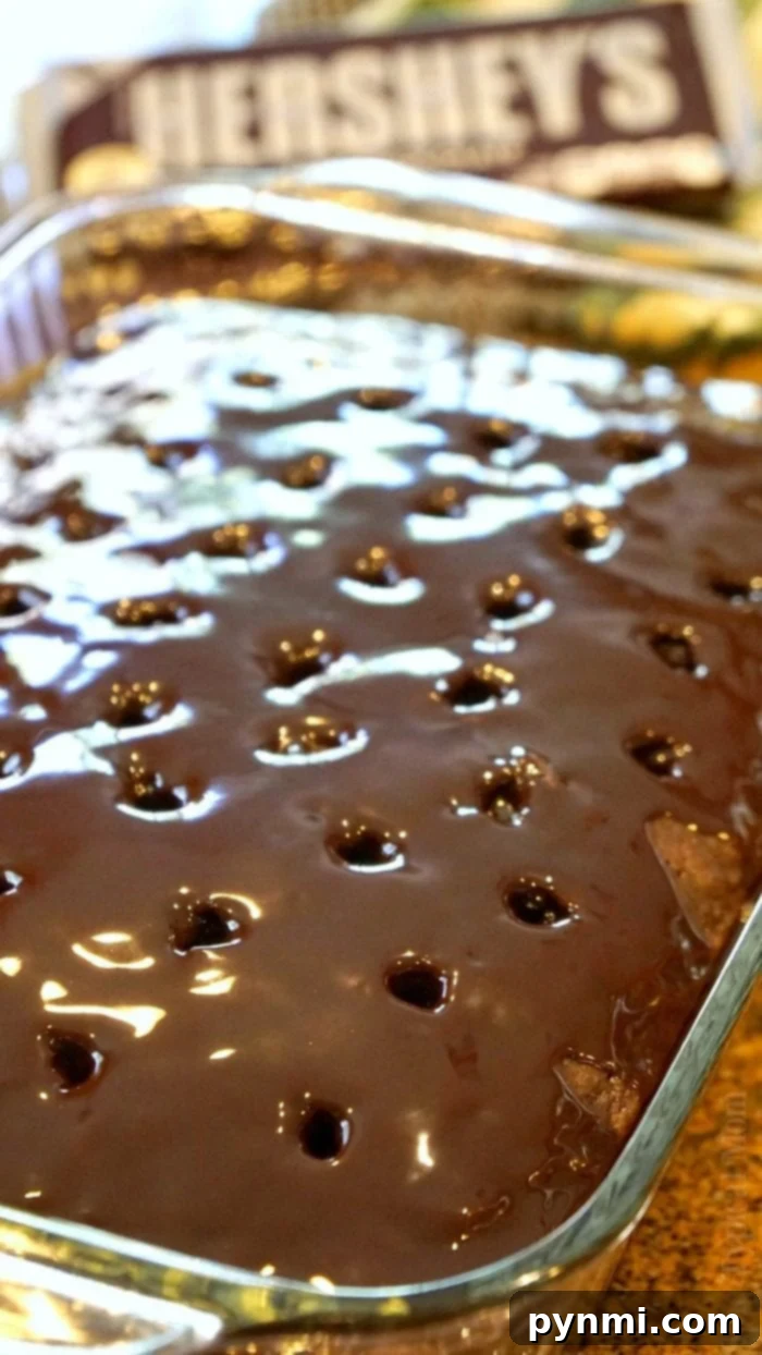 smores poke cake - A S'mores poke cake topped with toasted marshmallows and chocolate drizzle, a creative twist on a classic dessert.