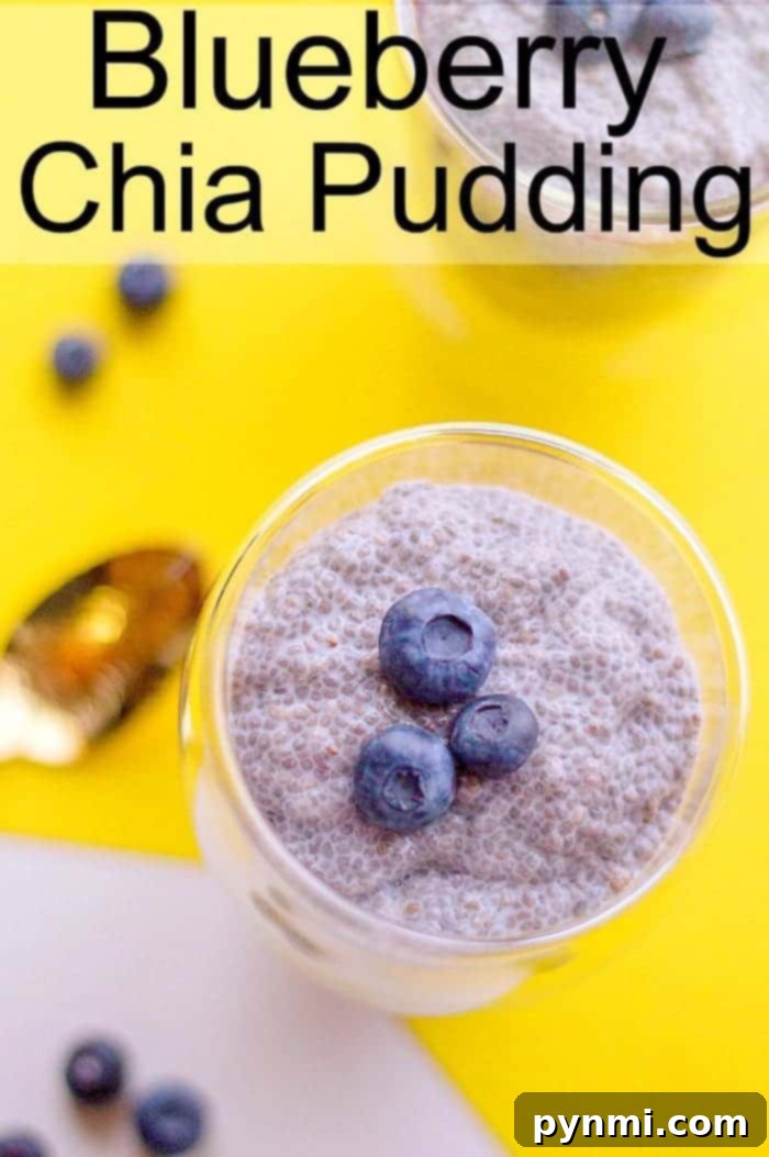 Chia Seed Pudding with Milk