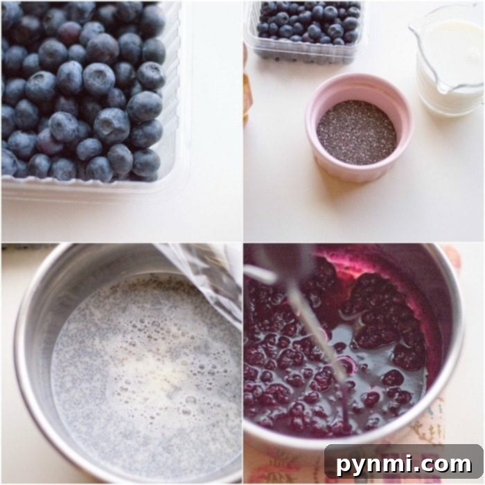 Overhead view of blueberry chia seed dessert layered in a glass jar, garnished with fresh blueberries.