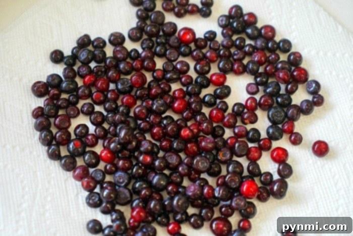 A cluster of fresh, ripe huckleberries, a perfect topping for desserts.