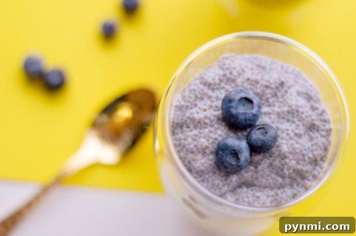 Easy chia dessert recipe topped with blueberries is here. With a touch of sweetness this treat is light dairy free dessert everyone will love.