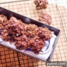 no bake chocolate cookies