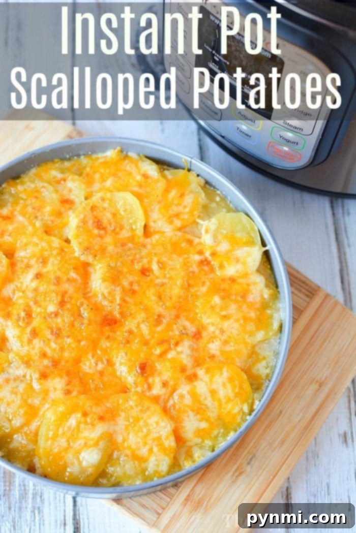 Here is an easy Instant Pot scalloped potatoes recipe you can use as the perfect cheesy side dish for the holidays or year round with dinner. #instantpot #pressurecooker #scalloped #potatoes #cheese #augratin #sidedish #potato A generous serving of creamy Instant Pot scalloped potatoes in a white serving dish.