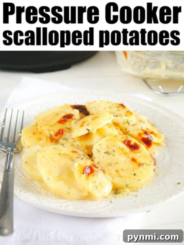 Easy Instant Pot scalloped potatoes recipe you can use as the perfect cheesy side dish for the holidays or year round with dinner. #instantpot #pressurecooker #scalloped #potatoes #cheese #augratin #sidedish #potato A large serving of instant pot scalloped potatoes in a rustic dish on a wooden table, ready for a family meal.