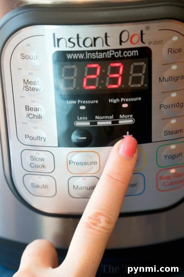 Understanding and Avoiding the Instant Pot Burn Message for Smooth Cooking Instant Pot burn message displayed on the screen