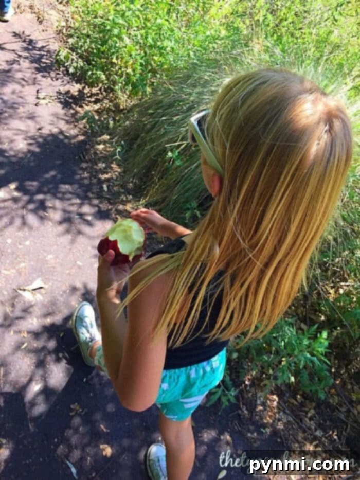 Engage kids with a free printable nature scavenger hunt. Ideal for outdoor fun, camping, and family hikes. Free Printable Nature Scavenger Hunt for Outdoor Exploration