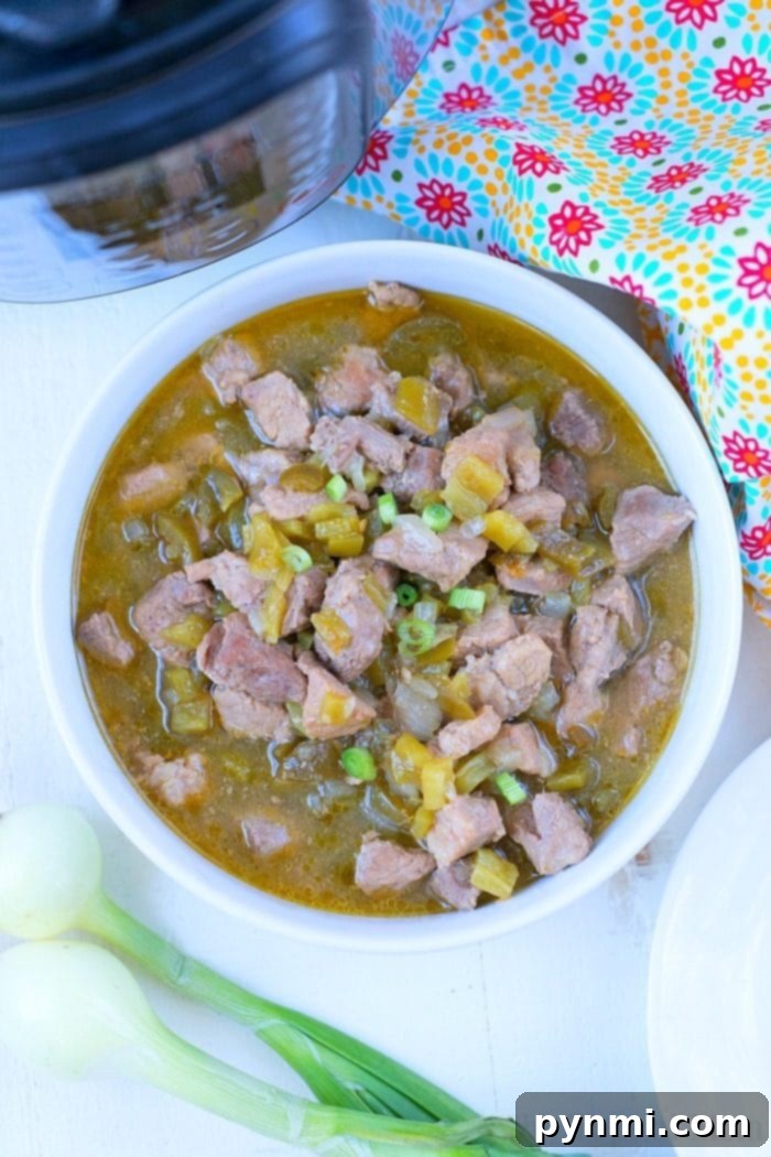 Pressure Cooker Chili Verde 2