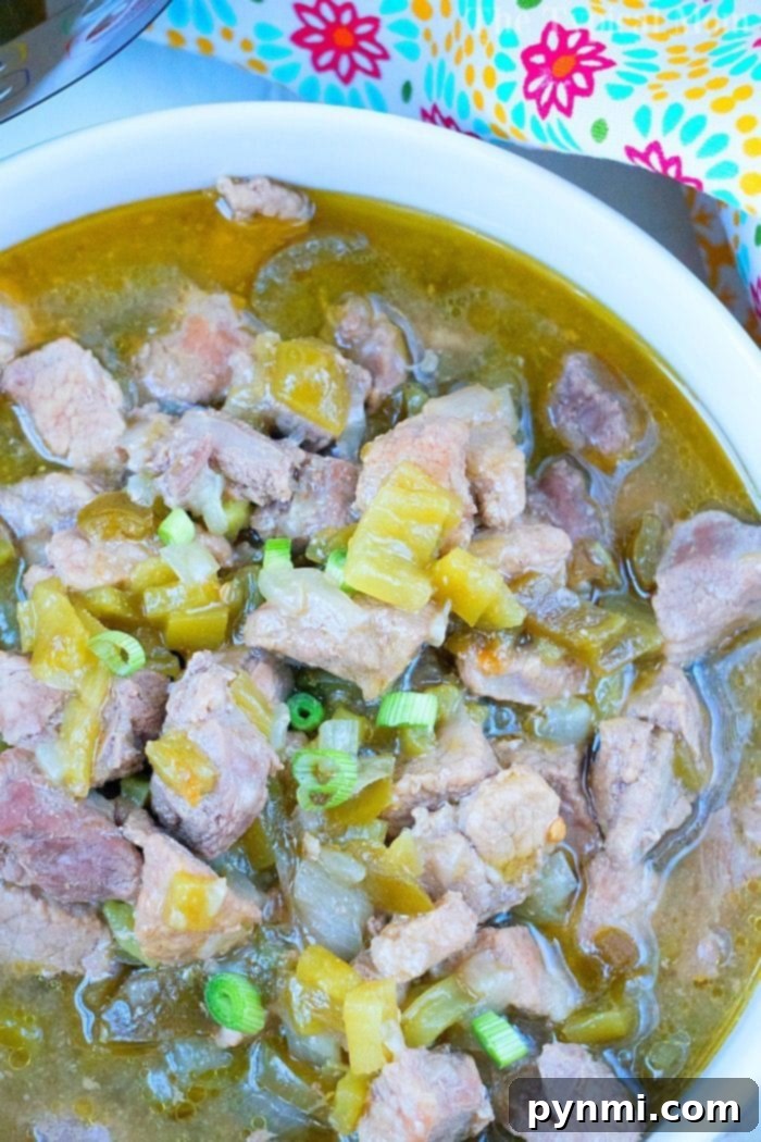Instant Pot chili verde with rich flavor and spice