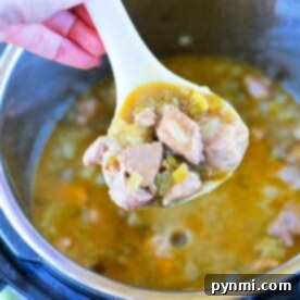 A ladle filled with a hearty stew containing chunks of meat and vegetables is being held above a pot. The stew, reminiscent of pressure cooker chili verde with its thick, brothy consistency, fills the pot halfway. A hand with painted nails holds the ladle.