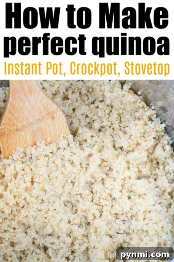 Perfectly cooked Instant Pot quinoa, ready to serve as a versatile side dish
