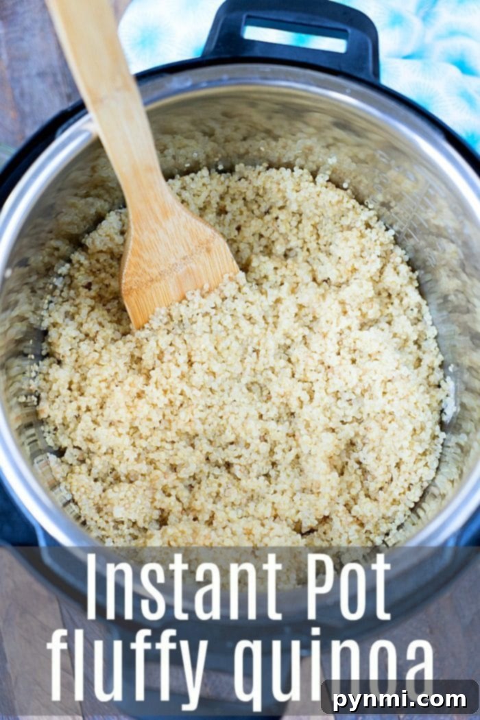 A bowl of fluffy, perfectly cooked quinoa, ready to be seasoned or mixed into a meal