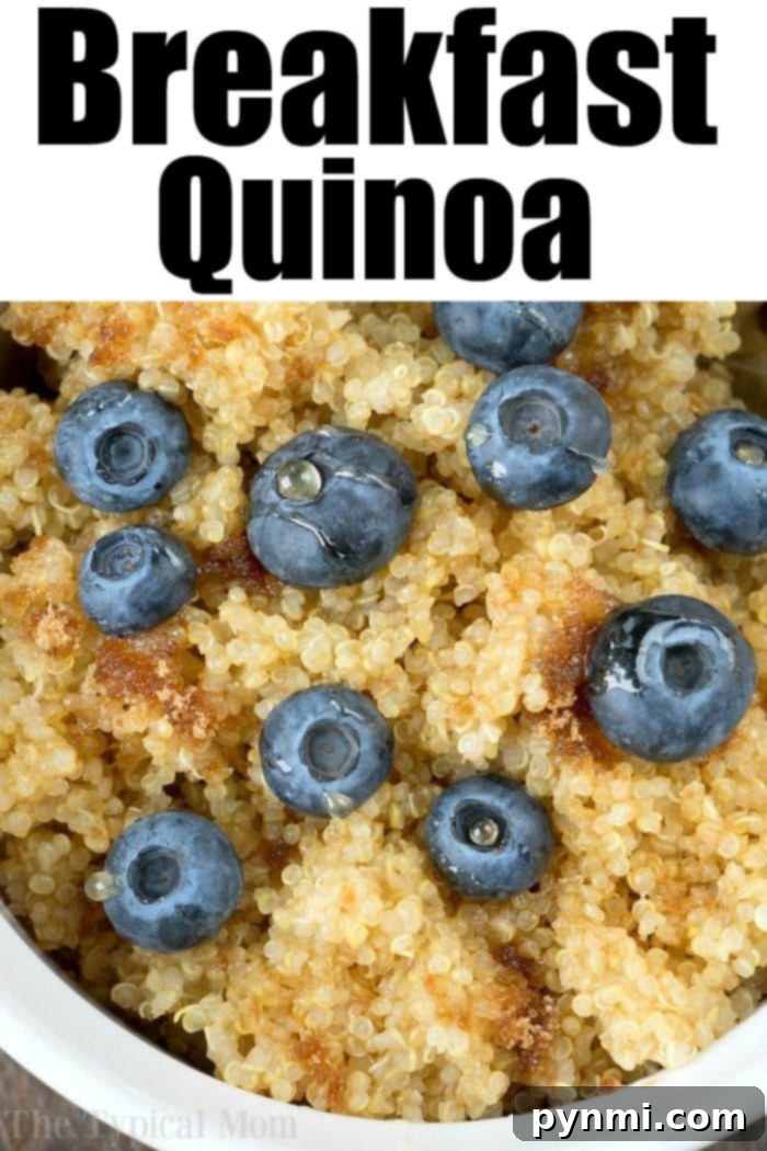 Sweet breakfast quinoa in a bowl with fresh berries and honey